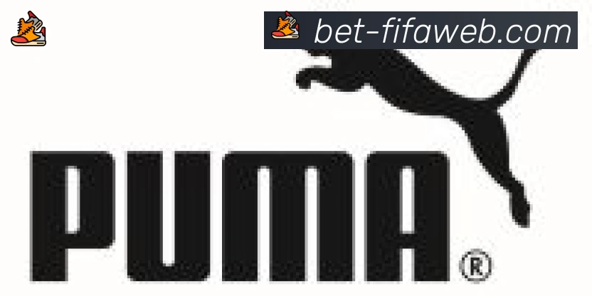 世界杯实时竞猜入口合作伙伴